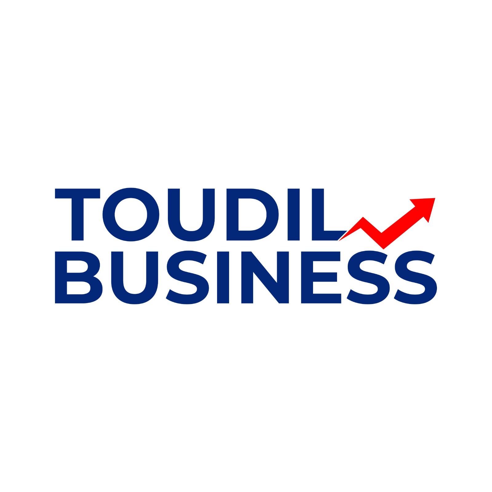 TOUDIL BUSINESS